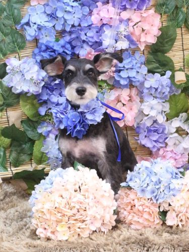 20250628音ちゃん